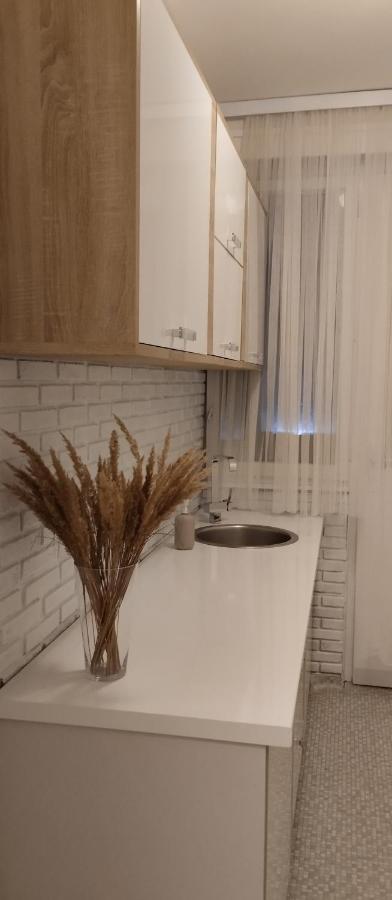 Apartment Aria Saraybosna Dış mekan fotoğraf